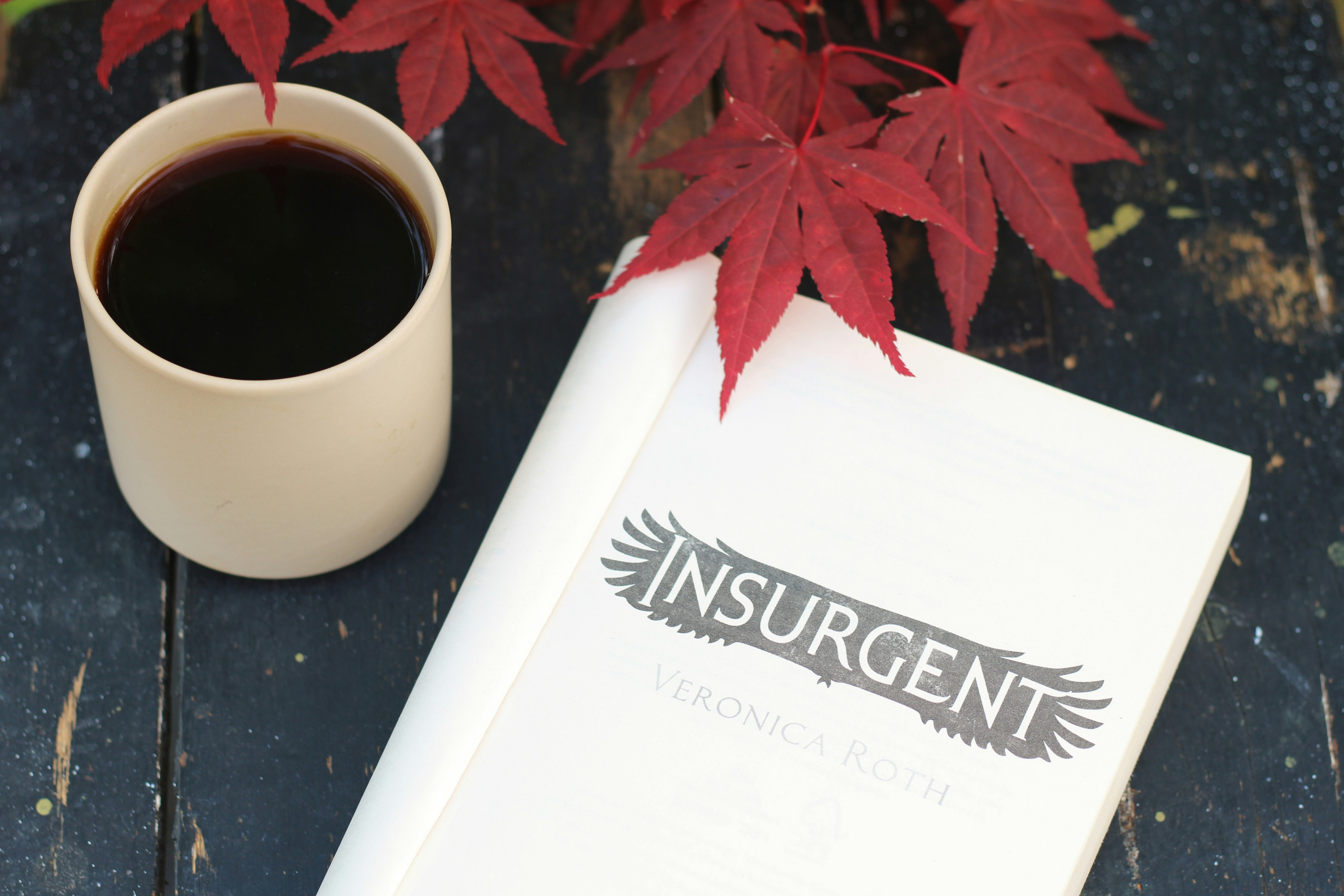 Term vs. Whole Life Insurance: Which Policy Fits Millennials in 2025? - BERITAJA
